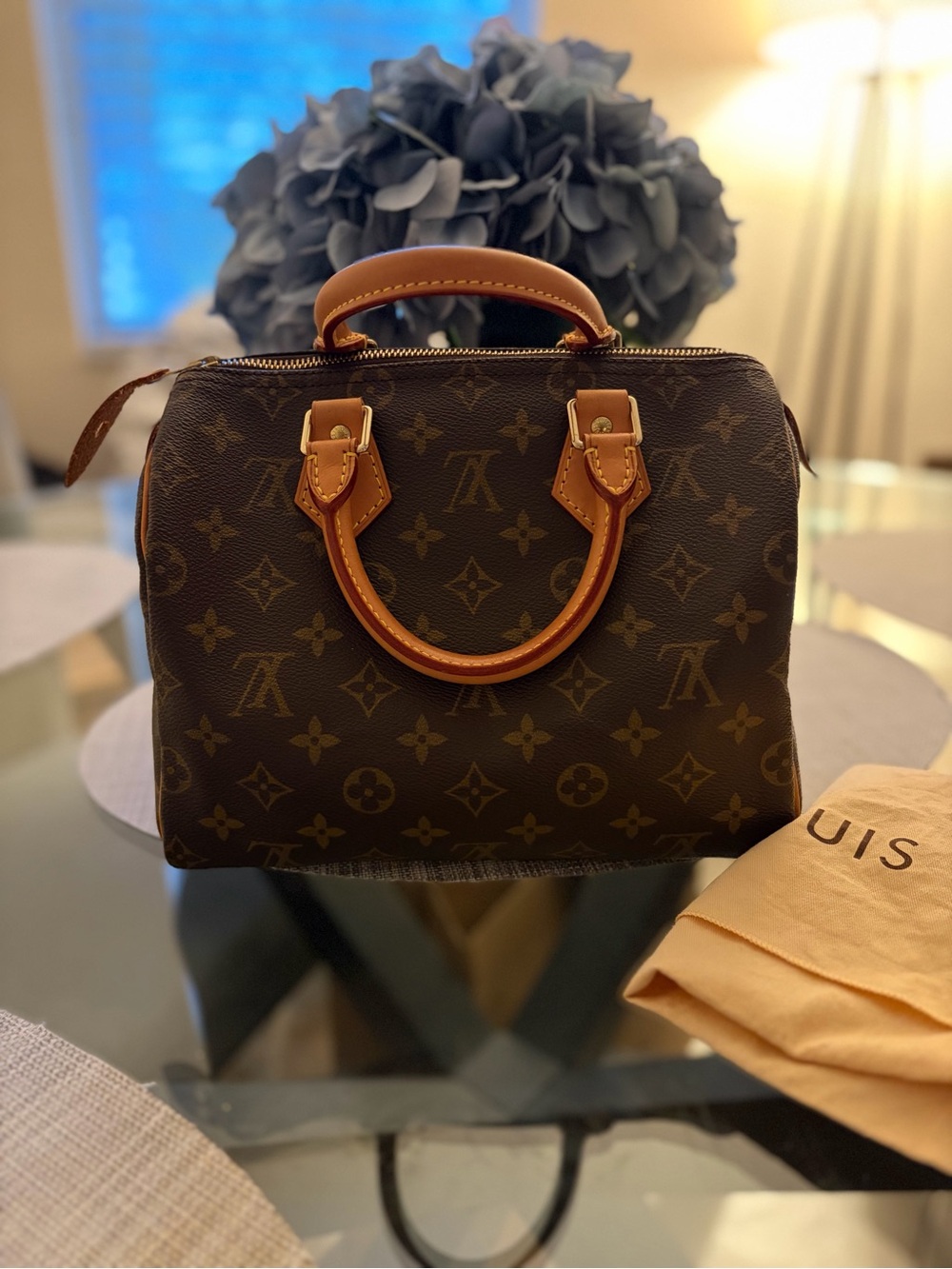 Louis Vuitton Speedy 25 Monogram